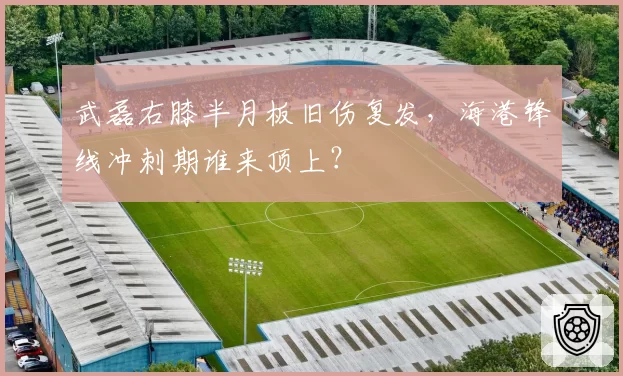 武磊右膝半月板旧伤复发,海港锋线冲刺期谁来顶上?